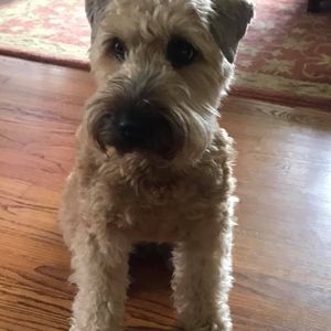 Meet your Posher, Judy